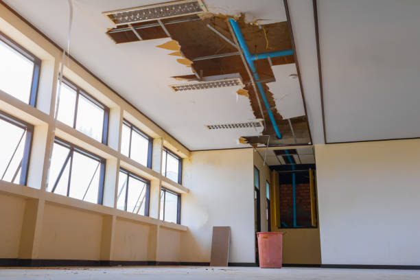 Best Water damage restoration near me  in Rk Forest Village, PA