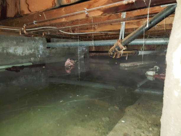 Professional Water damage restoration in Park Forest Village, PA