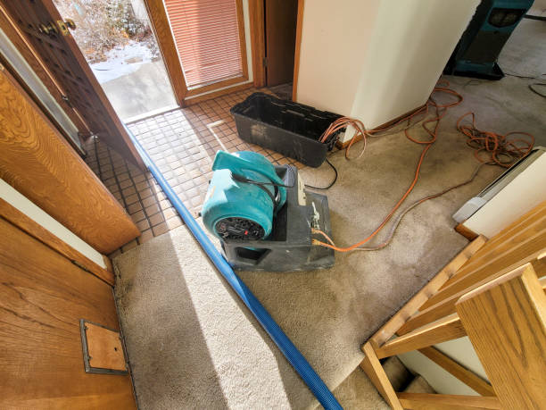 Best Flood restoration services  in Rk Forest Village, PA